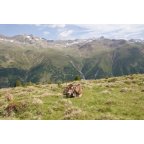 Maßeben in Langtaufers