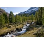 Talschluss in Langtaufers